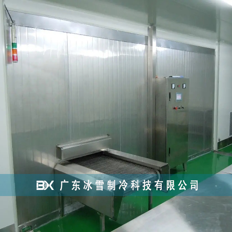 海鮮速凍機(jī) 魷魚圈單凍機(jī) 隧道式速凍機(jī)【廣東冰雪】